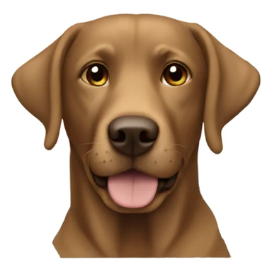 Brown Labrador in a car sticker