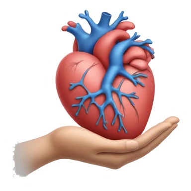 hand holding anatomy heart sticker