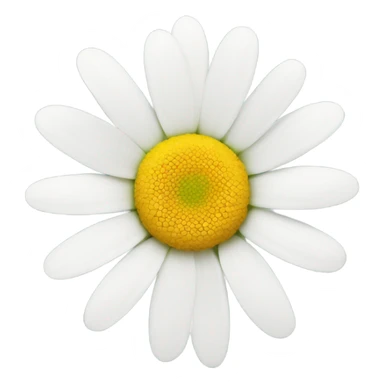 A white daisy with 1 missing petal  sticker