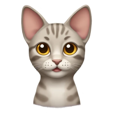 Fold-eared cat sticker