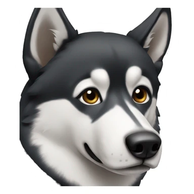 black husky with brows  sticker