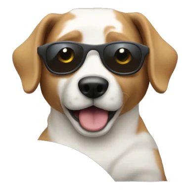 Blind dog driving sticker