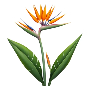 single Strelitzia Reginae, straight stem sticker