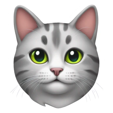 Cat with a colorfull sticker