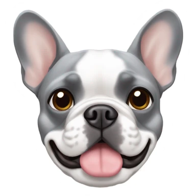 Grey french bulldog with brown eyebrows  sticker