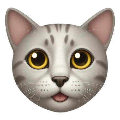 cat with big eyes staring sticker