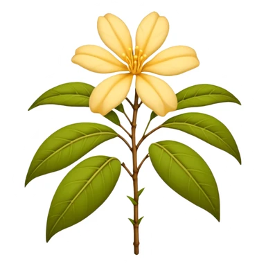 wilted indian jasmine without leaves in emoji format sticker