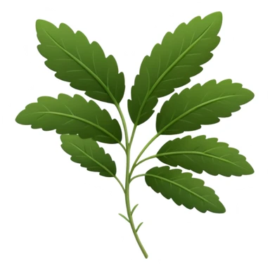 fresh thyme sprig, thin woody stems, clusters of small deep green oval leaves, dense and paired, crisp and delicate, aromatic, soft lighting, emoji scale sticker