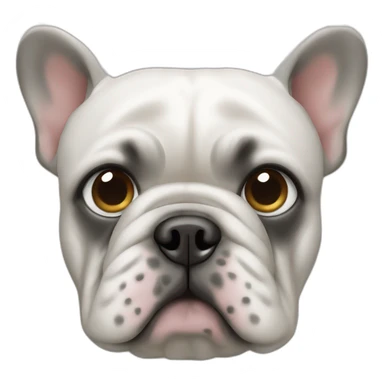 bouledogue fraicais blanc avec des taches grise sticker