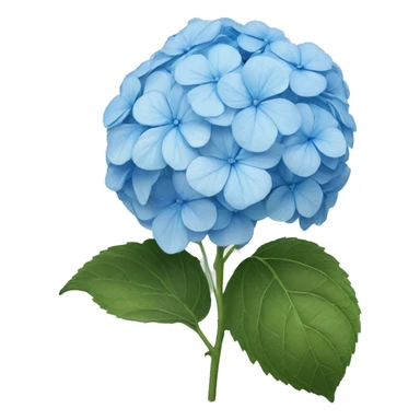 Light blue hydrangea sticker