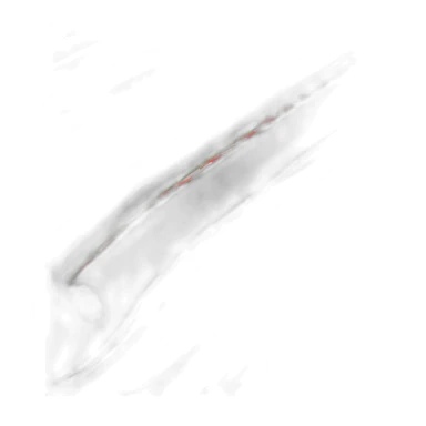 nurburgring track sticker