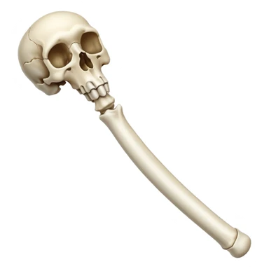 singular long anatomically-correct bone sticker