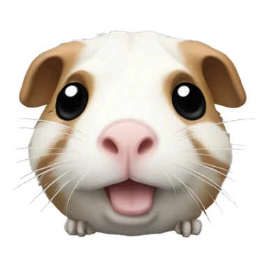 skeleton of a guinea pig sticker