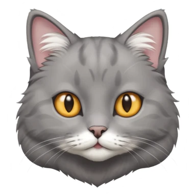 grey cat with white paws and a white neck sticker
