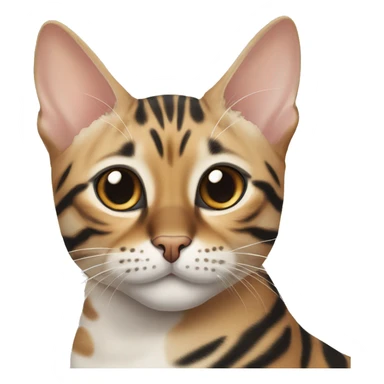 two bengal cats, one of them is warm-white colored, another one is classic black bengal cat sticker
