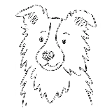 blonde and white border collie dog hand drawn outlined icon sticker