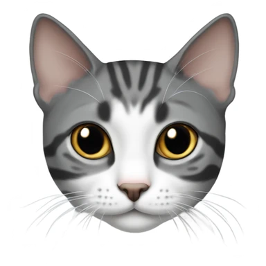 dark grey and white tabby cat shorthair  sticker