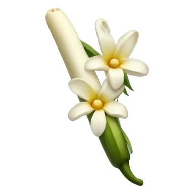  vanilla beans with flower sticker