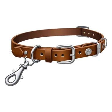 Dog collar with leash sticker