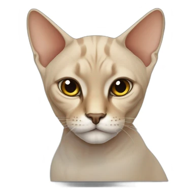 cat canadian sphinx sticker