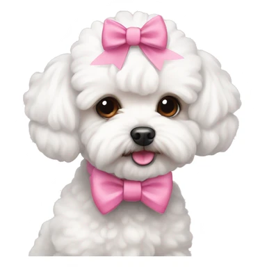 cute white maltipoo with pink bows on her ears  sticker