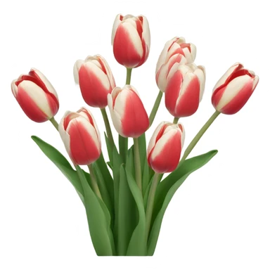 Buque de tulipas brancas sticker