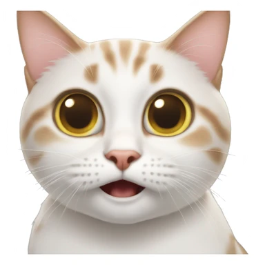 The surprised cat sticker