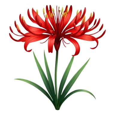 lycoris radiata sticker