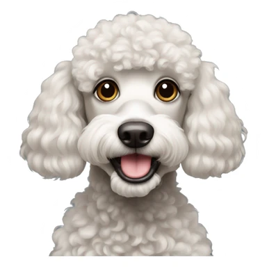 poodle with stupid face sticker
