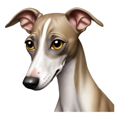 Italian greyhound drools. sticker