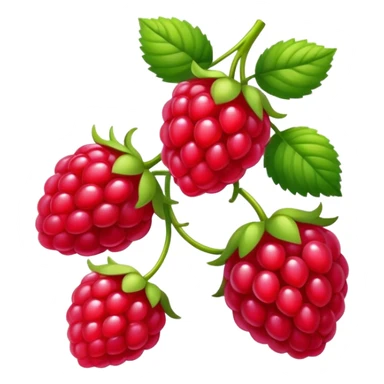 Framboise  sticker