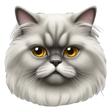 grey himalayan persian cat sticker
