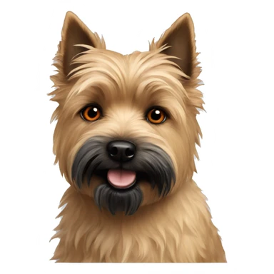 Red cairn terrier with black eyes sticker