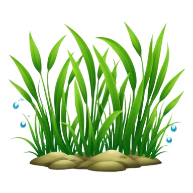 Seagrass sticker