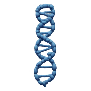 replicated chromosome sticker