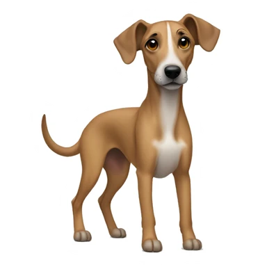 Ridgeback Whippet Mix sticker