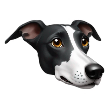 Galgo negro raya blanca sticker