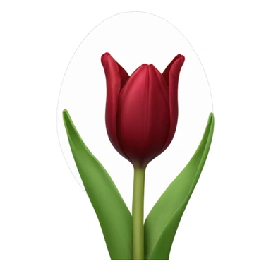Dark red tulip sticker