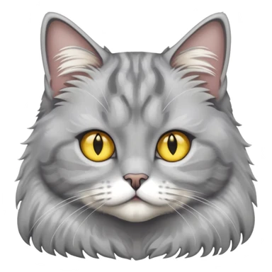 grey fluffy british long hair cat with yellow eyes cuteer  sticker
