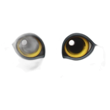 Cat-six-eyes sticker