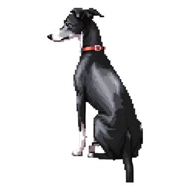 Slim Chinese girl with long black hair and her completely solid grey Italian greyhound looking out a window together on a snowy day, the dog has absolutely no white markings anywhere, completely uniform grey color throughout sticker