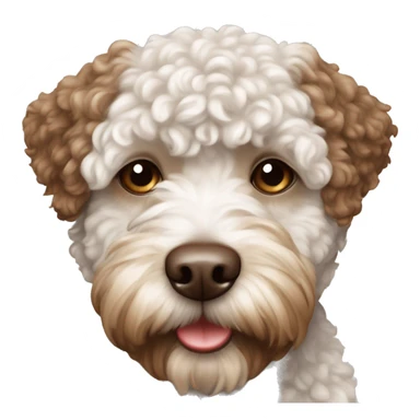 Dog lagotto romagnolo  sticker