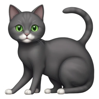 full body gorgeous solid dark grey cat with green eyes, white paws and white whiskers stretching like a cat sticker