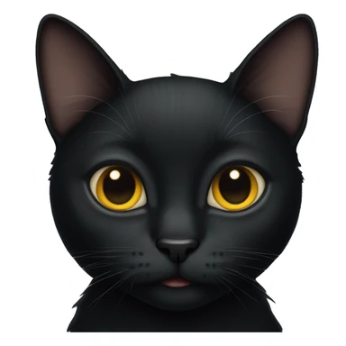 black cat sticker
