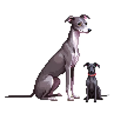 A young Chinese girl with long black hair and a dark grey Italian Greyhound with absolutely no white marks on its body or nose sitting under a cherry blossom tree sticker