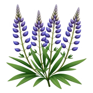 Realistic Still life ultra detailed, Lupine Lupinus sticker