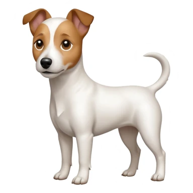a full body white jack russel looking dog the size of a kelpie with light brown ears and a light brown patch on one eye and a large snout sticker
