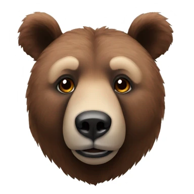 Kola bear  sticker