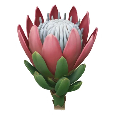 Protea sticker