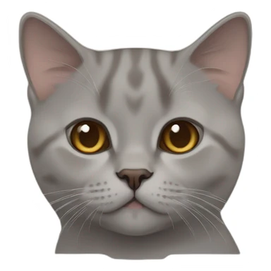 cinnamon color thin british shorthair sticker
